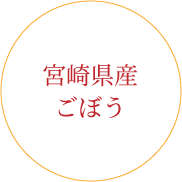 宮崎県産ごぼう